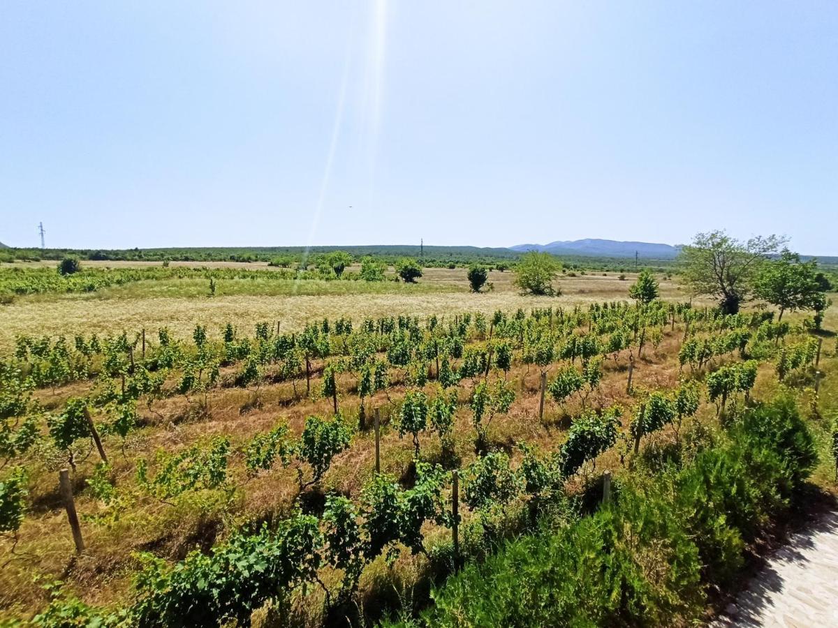 Chateau Tetri Bairagebi White Flags Kisiskhevi Kültér fotó