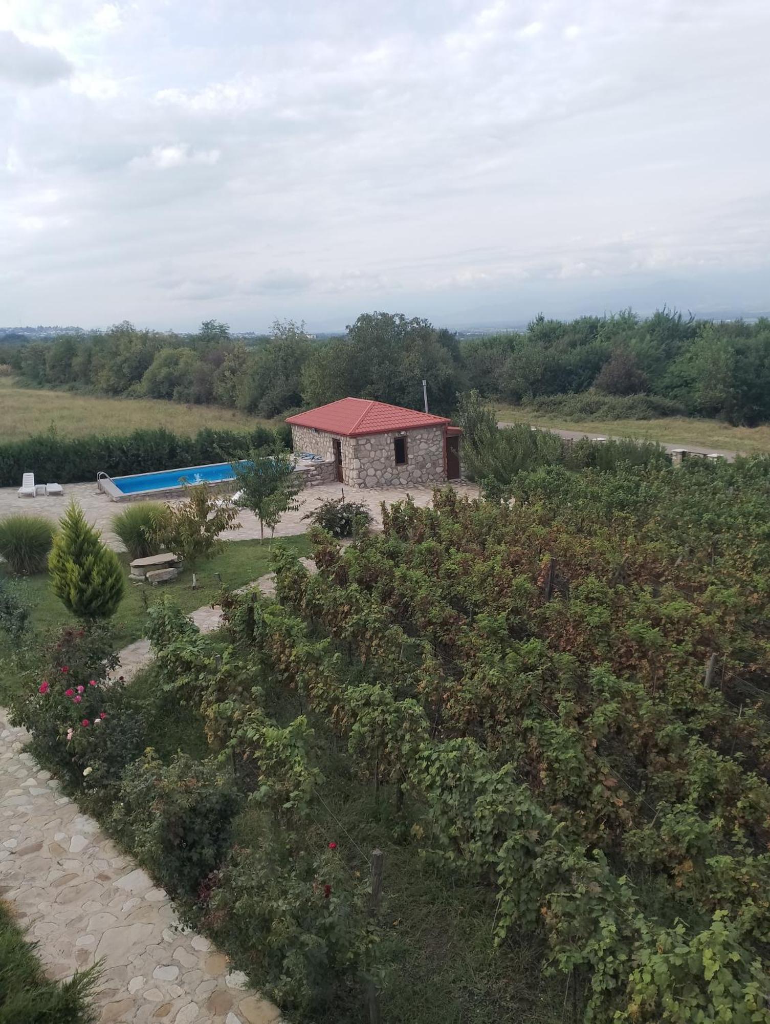 Chateau Tetri Bairagebi White Flags Kisiskhevi Kültér fotó