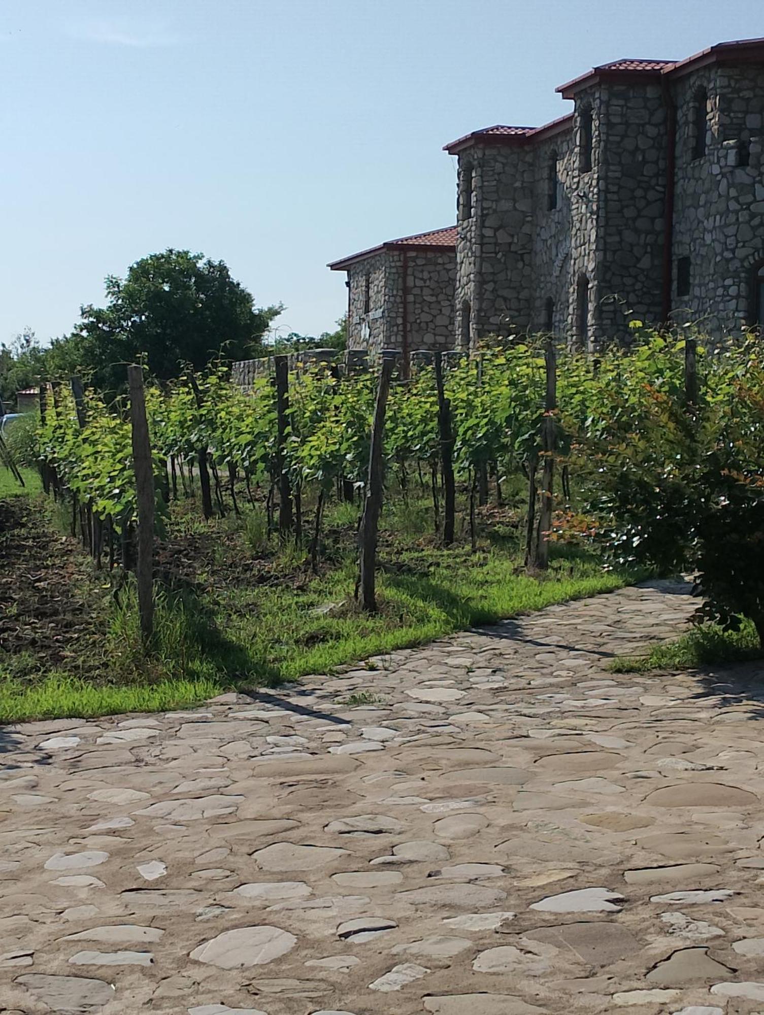 Chateau Tetri Bairagebi White Flags Kisiskhevi Kültér fotó
